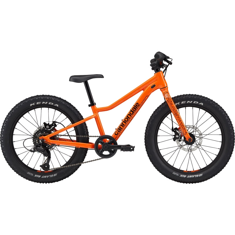 Cannondale Trail Plus 20