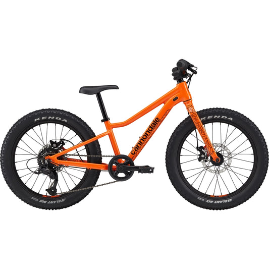 Cannondale Trail Plus 20